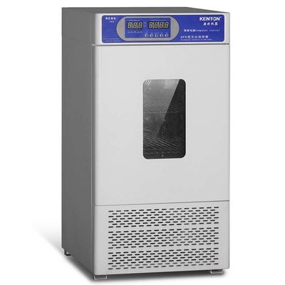 Tissue Culture Cooling Incubator Stainless Steel Inner Microorganism Incubator Lab