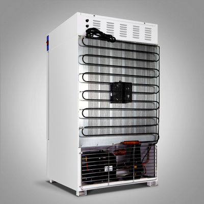 Lab Biological Cooling Incubator 150L Microorganism Incubator Chamber