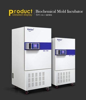 Biological Lab Incubator Machine Incubator For Bacterial Culture 110V 220V