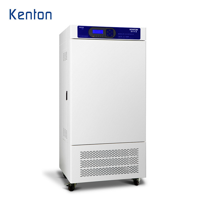 Lab Tissue Culture Incubator Co2 ISO CE Carbon Dioxide Incubator In Cell Culture