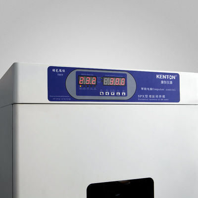 Bacteria Thermostatic Cooling Incubator Automatic Biological Oxygen Demand Incubator