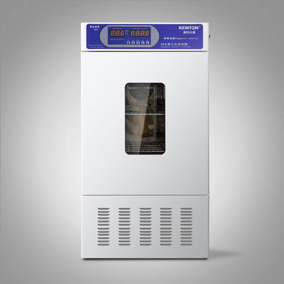 Biological Lab Incubator Machine Incubator For Bacterial Culture 110V 220V