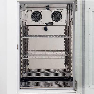 110V Climatic Test Chamber 0-65C Stability Test Chamber Environmental