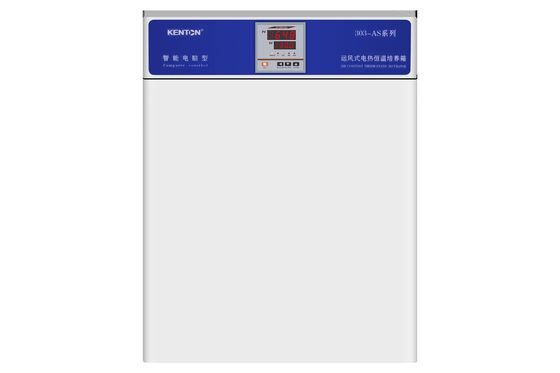 OEM Thermostatic Incubator 220V Bacteria Tissue Culture Incubator